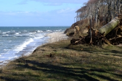 Gespensterwald und Steilküste