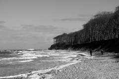 Gespensterwald in S&W