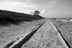Ahrenshooper Strand in "schwarz weiß"
