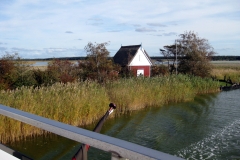 Boddeninsel bei Fischland