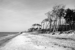 Am Darßer Ort, 2009