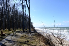 Gespensterwald und Meer