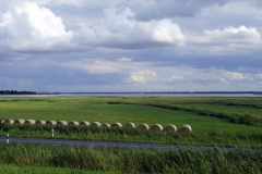 Boddenblick kurz vor Wustrow im Sommer 2023