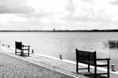 Blick vom Boddenhafens in Dändorft auf Riebnitz-Damgarten im Sommer 2023 in B&W