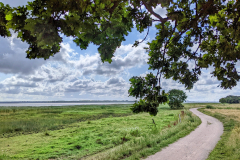 Unterwegs am Saaler Bodden in Richtung Dändorf im Sommer 2023