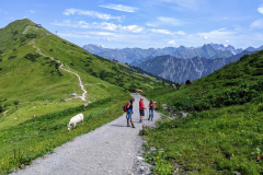 Blick in die Allgäuer Hochalpen von einem Punkt unterhalb der Kanzelwandbahn
